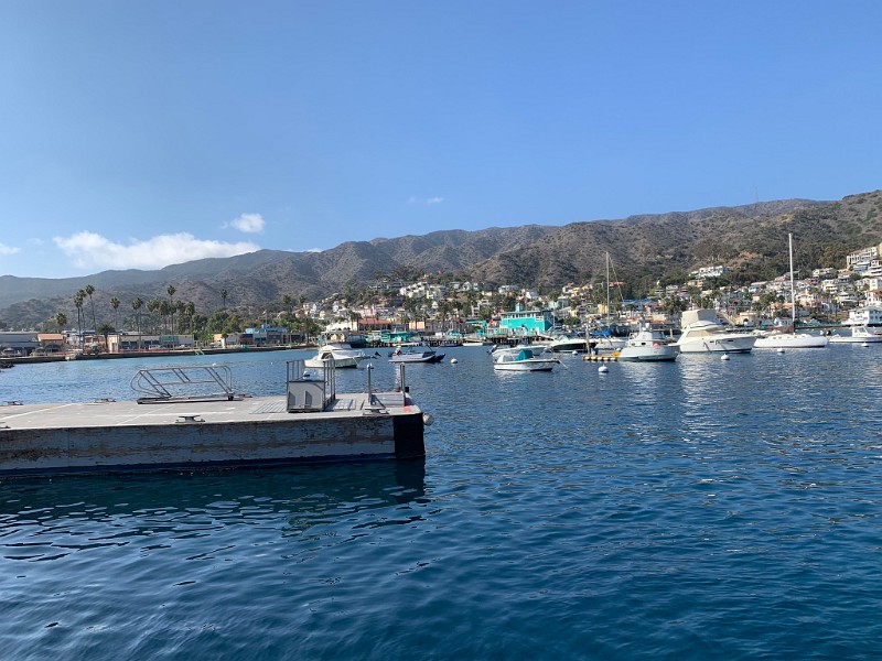 e) Thursday 8 November 2018 - Avalon, Catalina Island (Scenery From Boat Terminal)