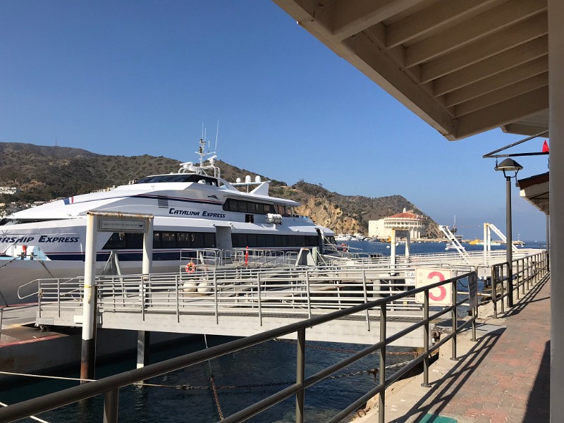 g) Thursday 8 November 2018 - Avalon, Catalina Island (Scenery From Boat Terminal - Catalina Casino In BackGround)