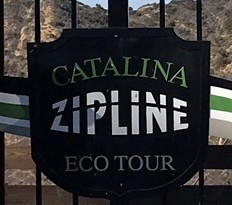 l) Thursday 8 November 2018 - Catalina Zipline EcoTour (Located Just Behind The Descanso Beach Club)