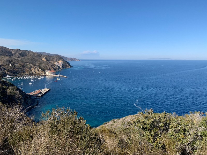 zzu) Friday 9 November 2018 - View Avalon Bay And Lover's Cove
