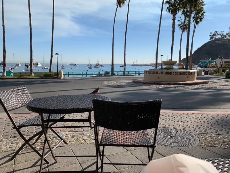 zzzzk) Saturday 10 November 2018 - Breakfast, View From Terrace (Hotel Villa Portofino)