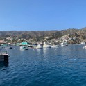 d) Thursday 8 November 2018 - Avalon, Catalina Island (Scenery From Boat Terminal)
