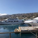 f) Thursday 8 November 2018 - Avalon, Catalina Island (Scenery From Boat Terminal)