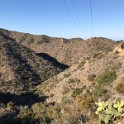 zzzi) Friday 9 November 2018 - High In The Hills Near Avalon And Descending Through Descanso Canyon