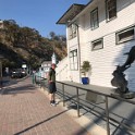 zzzzzza) Saturday 10 November 2018 - This Bronze Sculpture Entitled Leaping Tuna Is Located In Front Of The Historic Tuna Club In Avalon Harbor On Catalina Island