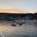 zzzzzzf) Saturday 10 November 2018 - Avalon Harbor With Sunset