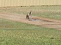i) Cloncurry, Sunday 2 October 2011 ~ Sighting A Kangaroo (Or Wallaby) !!.JPG