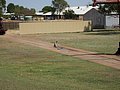 l) Cloncurry, Sunday 2 October 2011 ~ Sighting A Wallaby (or Kangaroo) At The Outdoor Museum, Mary Kathleen Memorial Park.JPG