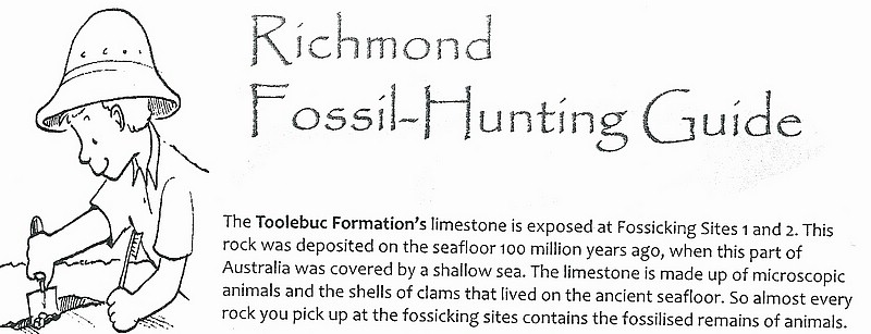 zx) Almost Every Rock You PickUp At The Fossicking Sites Contains Fossilised Remains of Animals (Limestone Deposited On Ancient Seafloor).JPG