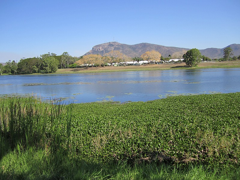 d) Townsville, Sunday 9 October 2011 ~ The Ross River Parkway, Leisurely Walk Along The Ross River.JPG