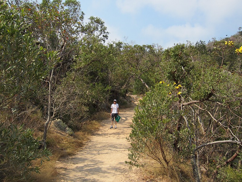q) Townsville, Monday 10 October 2011 ~ The Forts Walk, Magnetic Island National Park.JPG