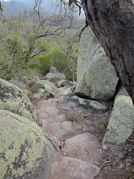 zn) Townsville, Monday 10 October 2011 ~ The Forts Walk, Magnetic Island National Park.JPG