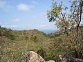 r) Townsville, Monday 10 October 2011 ~ The Forts Walk, Magnetic Island National Park.JPG
