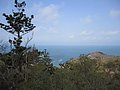 zd) Townsville, Monday 10 October 2011 ~ The Forts Walk, Magnetic Island National Park (View Florence Bay).JPG