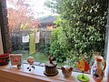 zk) Melbourne, Saturday 15 October 2011 ~  Quaint Backyard (Shirley's Home In Ringwood, Mother Of Carol).JPG