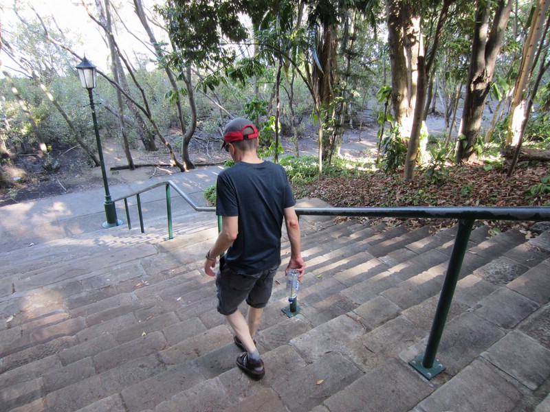 m) Tuesday 11 March 2014 ~ Botanic Gardens, Brisbane.JPG