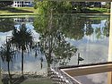 zt) SundayMorning 16 March 2014 ~ Water Reflection, Ross River (Itara Apartments-Townsville, Our View).JPG