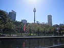 k) Thursday 20 March 2014  ~ Exploring Sydney, The Pleasures Of Wander (College Street, Hyde Park, Sydney Tower).JPG