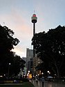 zp) Thursday 20 March 2014  ~ Exploring Sydney, The Pleasures Of Wander (Sydney Tower, Hyde Park).JPG