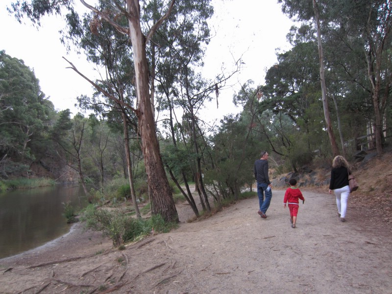zp) SaturdayAfternoon 22 March 2014 ~ Walk Back To The Car Along The Banks Of The Yarra River (East of Melbourne).JPG