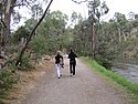 v) SaturdayAfternoon 22 March 2014 ~ Walk Along The Banks Of The Yarra River (East of Melbourne).JPG
