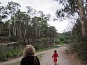 zm) SaturdayAfternoon 22 March 2014 ~ Walk Back To The Car Along The Banks Of The Yarra River (East of Melbourne).JPG