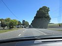 b) Thurday 13 August 2015 ~ Drive From Mackay to Eungella National Park.JPG