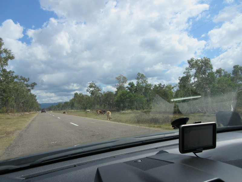 i) Wednesday 19 August 2015 ~ Drive From Ingham To Wallaman Falls.JPG