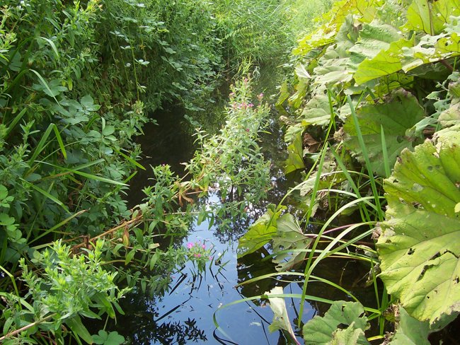 t) Small Ditches+Canal's.JPG