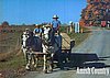 ze) The Amish.jpg