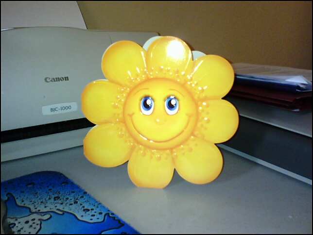 a) Smiley Sunflower.jpg