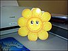 a) Smiley Sunflower.jpg