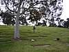 r) May 2, 2009 - Visiting Lloyd (Forest Lawn Cemetery - Covina Hills).JPG