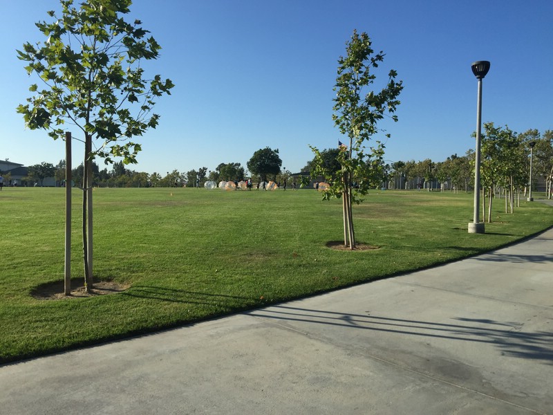 u2) June 2015 - MikeWard Community Park, Woodbridge - Irvine.jpg