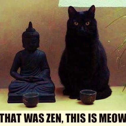zw) October 2016 - That Was Zen, This Is Meow