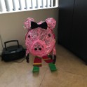 zzw) January 2017 - Pig, Became A She