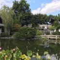 zf) Thursday 23 August 2018 - Lan Su Chinese Garden, Portland (Oregon)