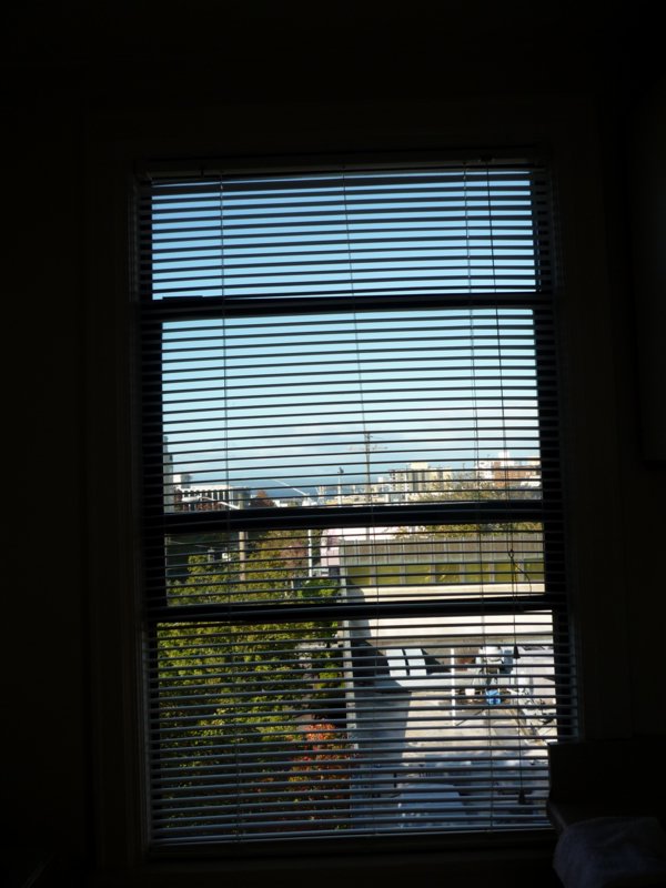 s) With (partly) View of Elliott Bay.JPG