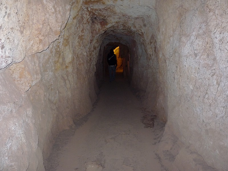 zt) Small Tunnels ... .JPG