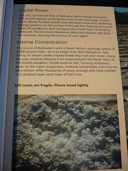 zd) The Source of Badwater's Salts Is Death Valley's Drainage System Of 9000 Square Miles.JPG