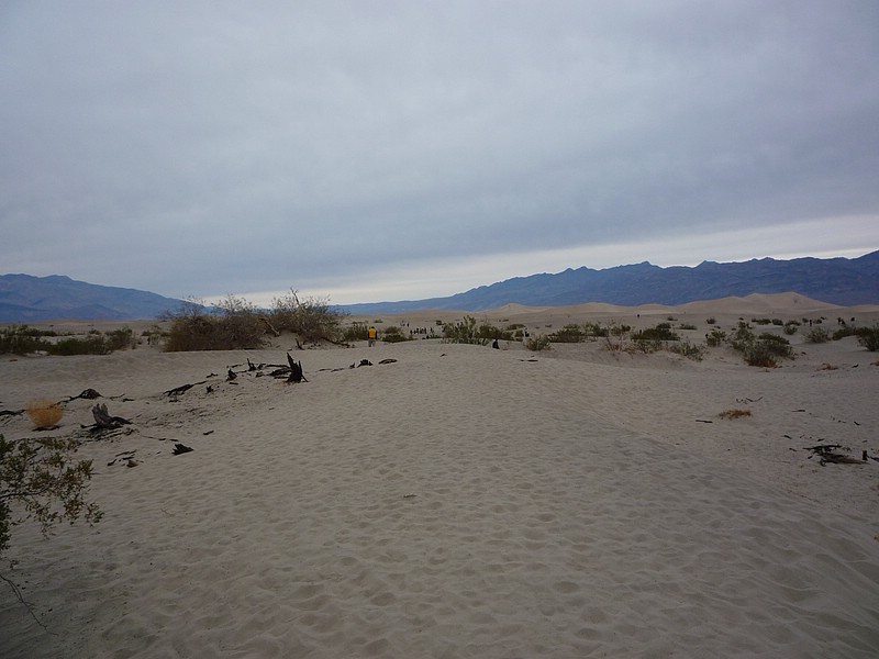 zzh) Mesquite Flat Dunes - These Dunes Are The Best Known and Easiest to Visit in the National Park.JPG