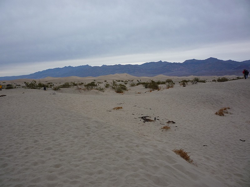 zzi) Although The Highest Dune Rises Only About 100 feet, the Dunes Actually Cover a Vast Area.JPG