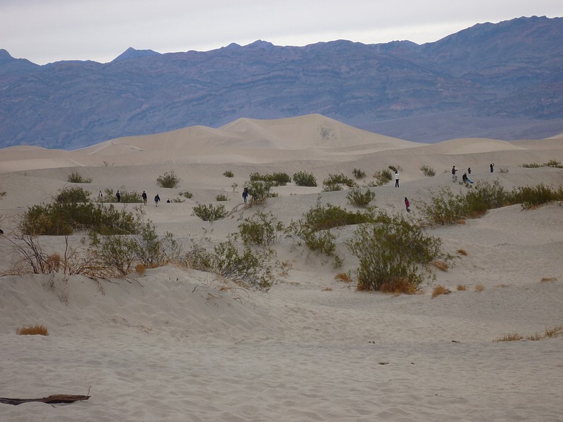 zzk) To Continue The Geology Lecture ~ PolygonCracked Clay Of An Ancient Lakebed Forms the Floor.JPG