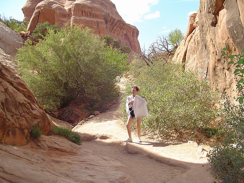 zq) The Major Rock Formations Visible In Park Today - Entrada Sandstone(SalmonColored)+Navajo Sandstone(TanColored).JPG