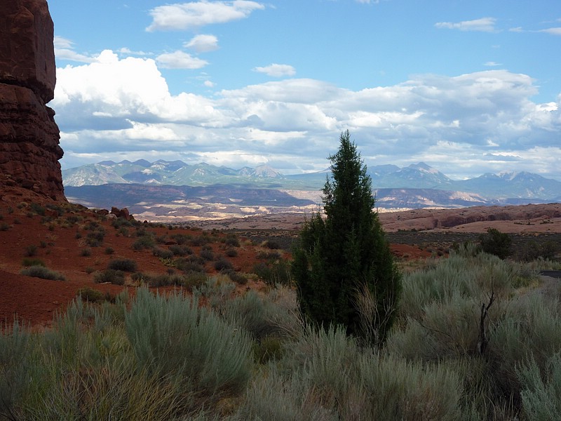 zzzn) La Sal Mountains Viewpoint.JPG