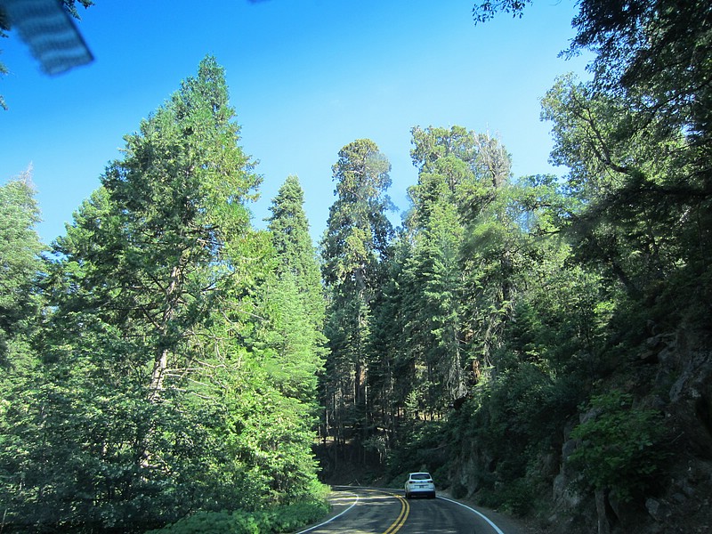 zm) Saturday 21 July 2012 ~ Half Hour Later, Moving On Again!! (Sequioa National Park, Route 198).JPG