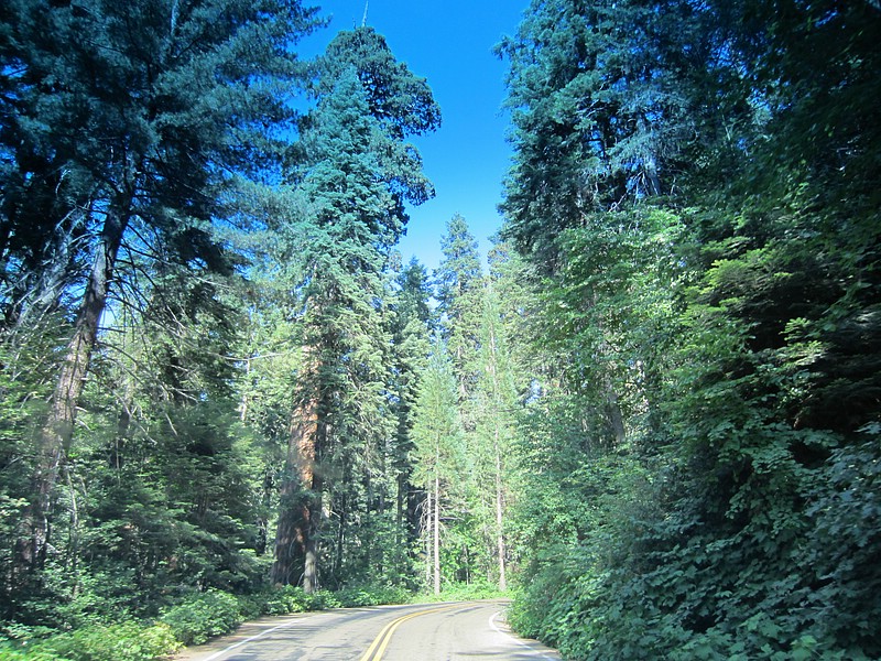 zp) Saturday 21 July 2012 ~ Sequioa National Park, Route 198.JPG