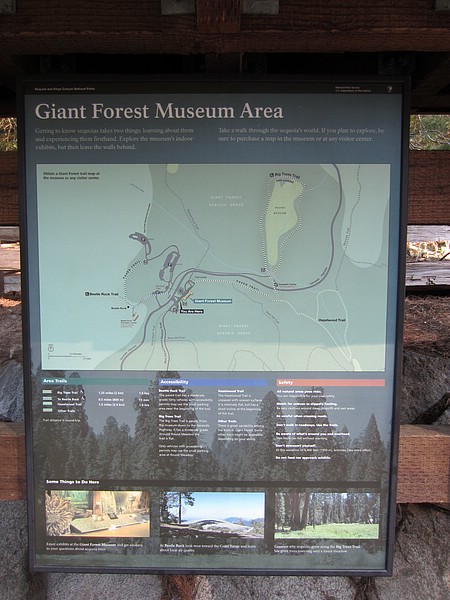 zy) Saturday 21 July 2012 ~ Gaint Forest Museum, Sequioa National Park (Click On Pic For Enlargement).JPG