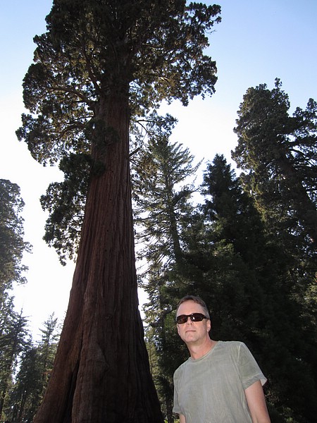 zzd) Saturday 21 July 2012 ~ The General Sherman Is A Giant Sequoia. With A Height of 83.8 Metres (275 ft), A Diameter of 7.7 Metres (25 ft) ....JPG