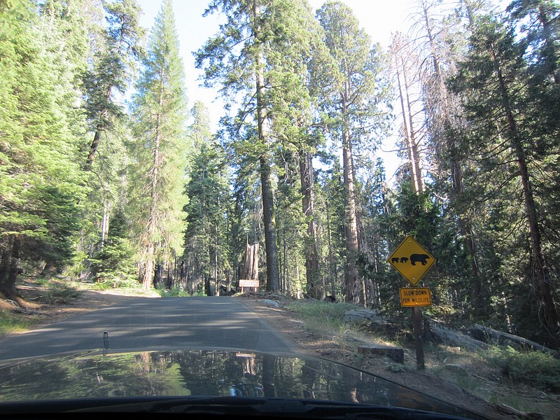 zzg) Saturday 21 July 2012 ~ Moving On ... (Sequioa National Park, Moro Rock-Crescent Meadow Road).JPG